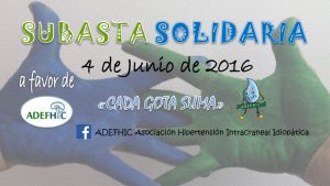 Subasta Solidaria - 4 de Junio de 2016