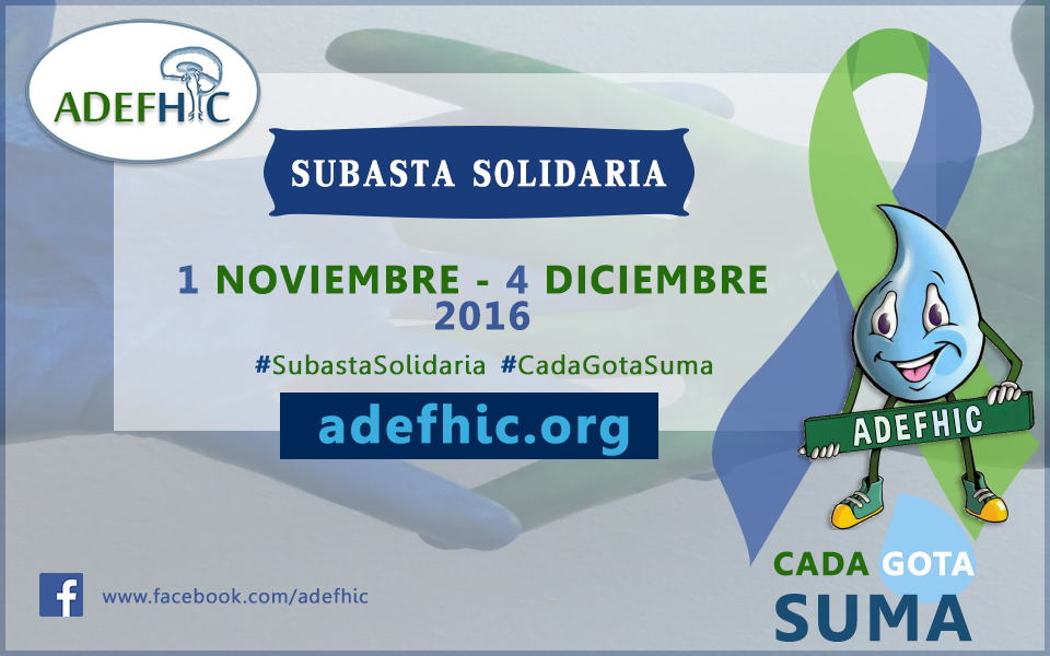 2ª Subasta Solidaria - 1 de Noviembre de 2016